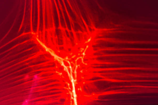 A blurred photograph capturing the glow of a red light creating an abstract effect.