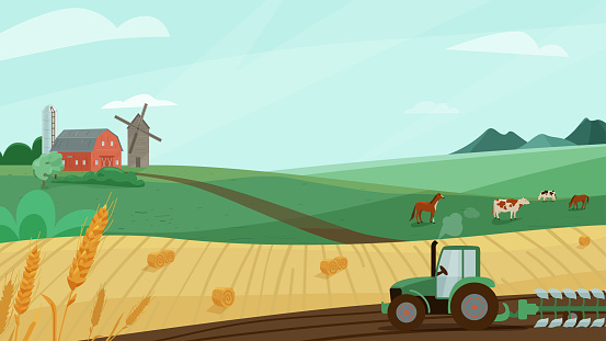 Farm landscape vector illustration with green meadow, wheat field, tractor cultivate earth. Nature summer or autumn scenery with barn, windmill. Countryside for organic production background
