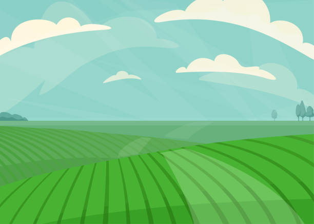 横向きベクトルの図。緑の草原、丘、植物、雲と青空。自然の春、夏の農場の風景。オーガニック生産の背景のための田舎 - landscape hill green grass点のイラスト素材／クリップアート素材／マンガ素材／アイコン素材