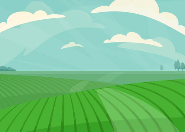 ilustrações, clipart, desenhos animados e ícones de ilustração vetorial da paisagem. campo de prado verde, colina, plantas e céu azul com nuvens. primavera da natureza, cenário de fazenda de verão. campo para fundo de produção orgânica - cloud horizon spring summer