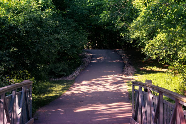istock Inviting path in the forest with wooden doors and copy space 1272653507