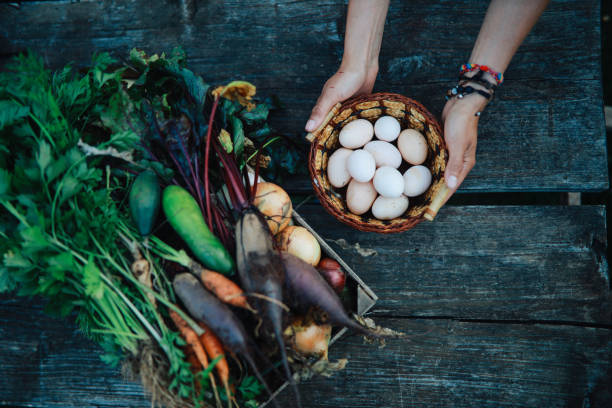 overhead image of organic vegetables and free range eggs - beet vegetable box crate imagens e fotografias de stock