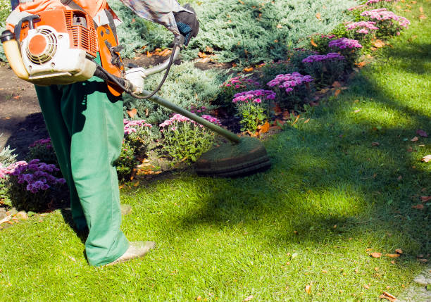 istock Autumn work in the park. The gardener cuts the grass before winter. 1272665696