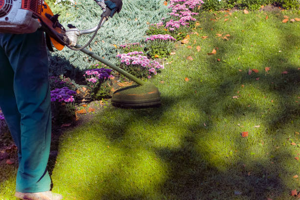istock Autumn work in the park. The gardener cuts the grass before winter. 1272665704