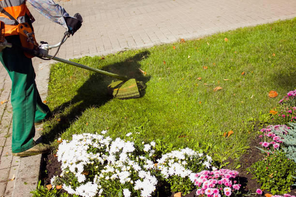 istock Autumn work in the park. The gardener cuts the grass before winter. 1272665728