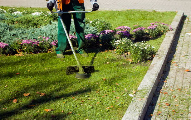 istock Autumn work in the park. The gardener cuts the grass before winter. 1272665732