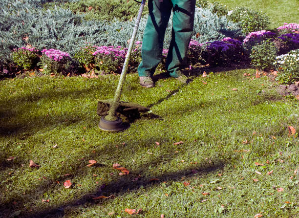 istock Autumn work in the park. The gardener cuts the grass before winter. 1272665767
