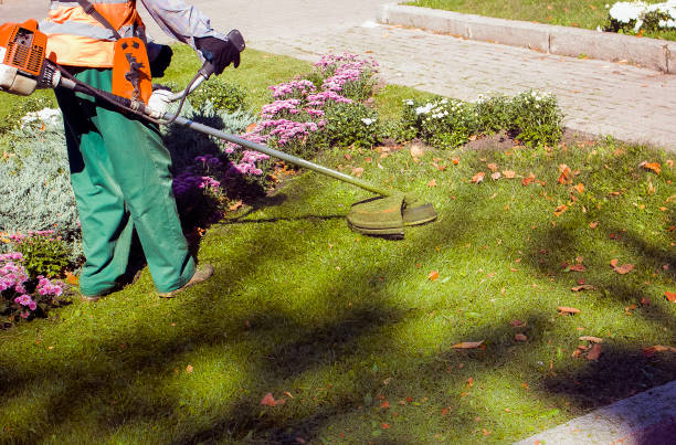 istock Autumn work in the park. The gardener cuts the grass before winter. 1272665772