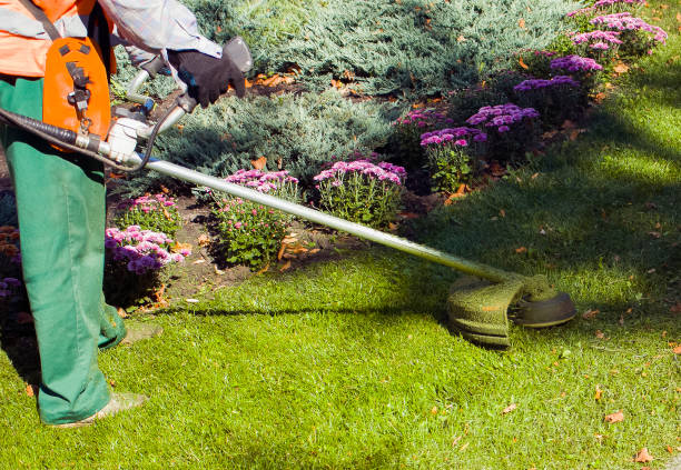 istock Autumn work in the park. The gardener cuts the grass before winter. 1272665795