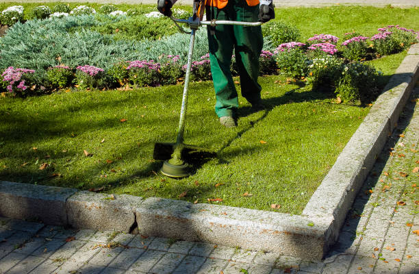 trabajo de otoño en el parque. el jardinero corta la hierba antes del invierno. - hedge clippers weed trimmer grass lawn fotografías e imágenes de stock