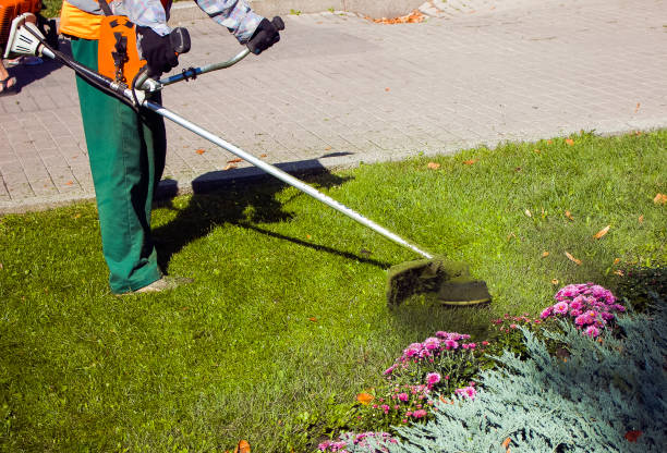 istock Autumn work in the park. The gardener cuts the grass before winter. 1272665825