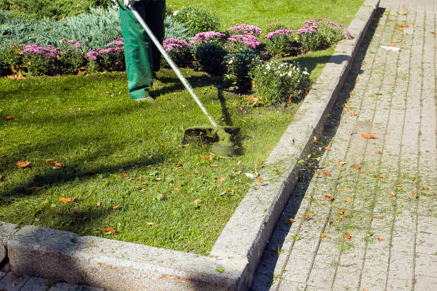istock Autumn work in the park. The gardener cuts the grass before winter. 1272665840