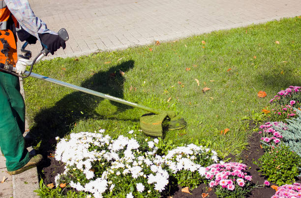istock Autumn work in the park. The gardener cuts the grass before winter. 1272665922