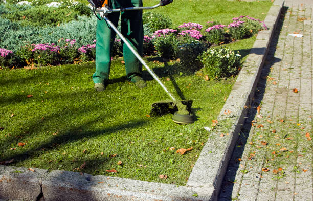 istock Autumn work in the park. The gardener cuts the grass before winter. 1272665936