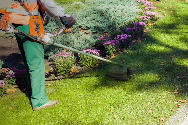 istock Autumn work in the park. The gardener cuts the grass before winter. 1272665938
