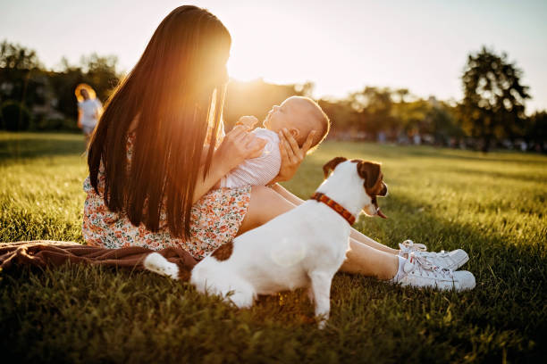 istock Our cute little dog 1272667070