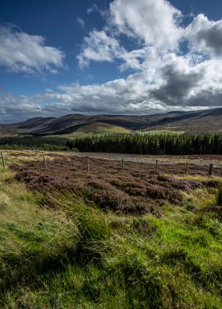 istock Valley Of The Cairngorm Mountains. 1272667299