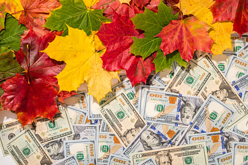 Autumn prices fall concept. Background from dollars and colored maple leaves