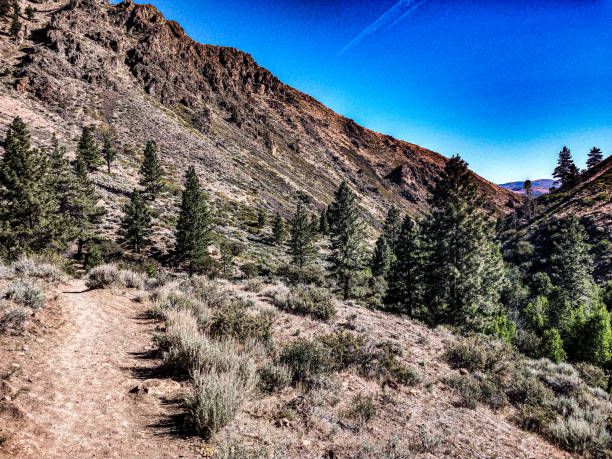 Mountain valley in Northern Nevada