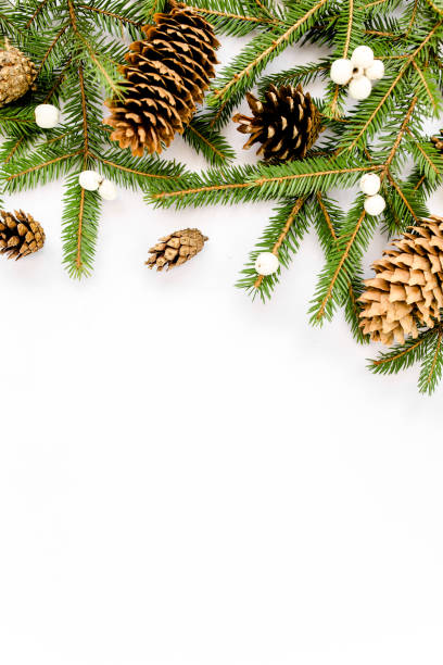 istock Christmas composition with fir branches, pine cones on white background. Flat lay, top view 1272671032