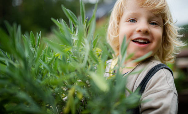 Close-up portrait of small boy outdoors in garden, sustainable lifestyle concept. Close-up portrait of small boy standing outdoors in garden, sustainable lifestyle concept. sage photos stock pictures, royalty-free photos & images