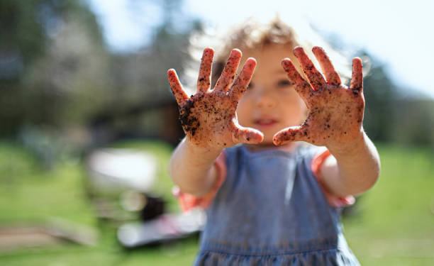 liten flicka som visar smutsiga händer utomhus i trädgården, hållbar livsstil koncept. - skräpig trädgård hus bildbanksfoton och bilder