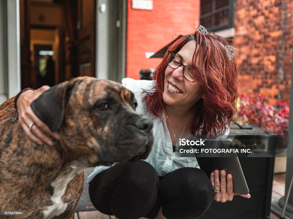Woman with the dog Mature Woman playing with dog. Exterior Front stoop of private home. One Woman Only Stock Photo