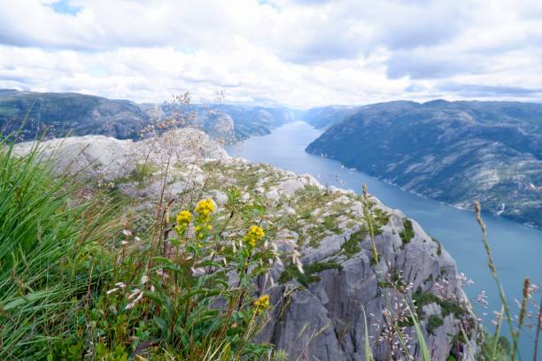 istock Lysefjorden, Norway 1272673617