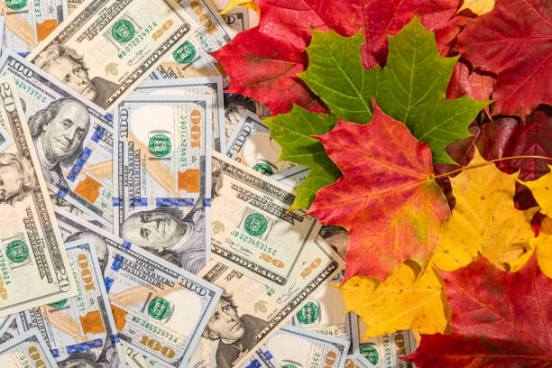 istock Autumn prices fall concept. Background from dollars and colored maple leaves 1272674426