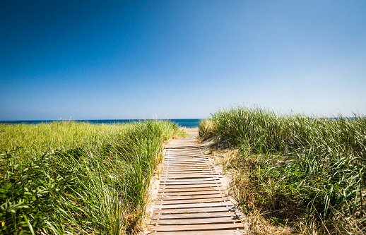 A wooden walkway leads through the tall dune grass to the sandy ocean beach beyond.