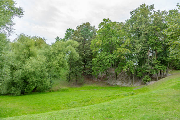 istock Green lawn in the park for a picnic 1272680355