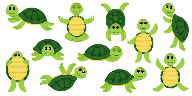 Turtle Standing Up Illustrations, Royalty-Free Vector Graphics & Clip Art - iStock Turtle Standing Up Illustrations, Royalty-Free Vector Graphics & Clip Art - iStock