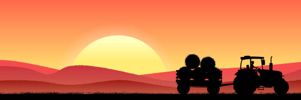 Wheat field at night with tractor and hay. The tractor drives, make hay and collects bales. Agricultural concept. Vector illustration Wheat field at night with tractor and hay. The tractor drives, make hay and collects bales. Agricultural concept. Vector illustration farmer silhouettes stock illustrations