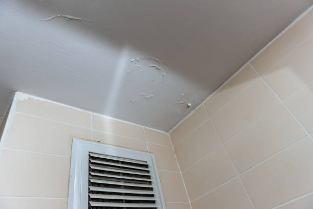 istock Destruction caused by water damage on the bathroom ceiling 1272681214