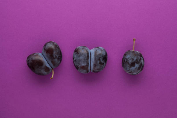 Ugly double plums or prunes on a purple background. Unusual deformed fruits can be used for food. oncept - reduce plant or food waste Ugly double plums or prunes on a purple background. Unusual deformed fruits can be used for food. oncept - reduce plant or food waste. awful taste stock pictures, royalty-free photos & images