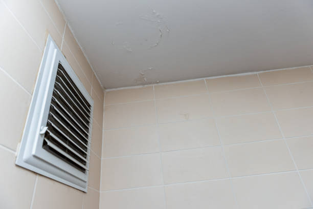 istock Destruction caused by water damage on the bathroom ceiling 1272681551