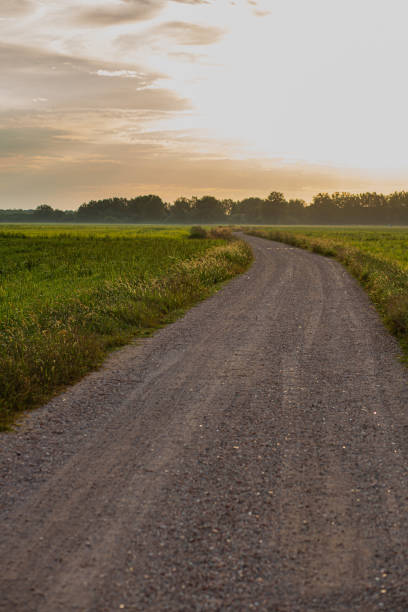 istock Rural gravel path green landscape on a bright sunny sky 1272682413