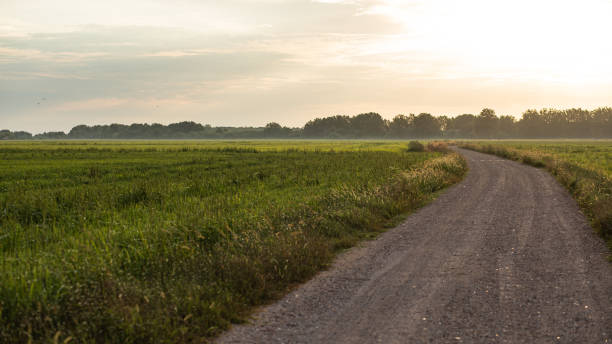 istock Rural gravel path green landscape on a bright sunny sky 1272682508