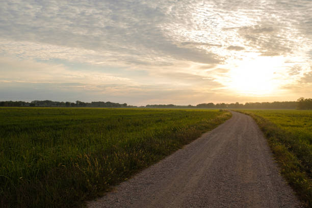 istock Rural gravel path green landscape on a bright sunny sky 1272682537
