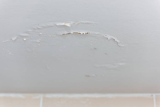 istock Destruction caused by water damage on the bathroom ceiling 1272682560