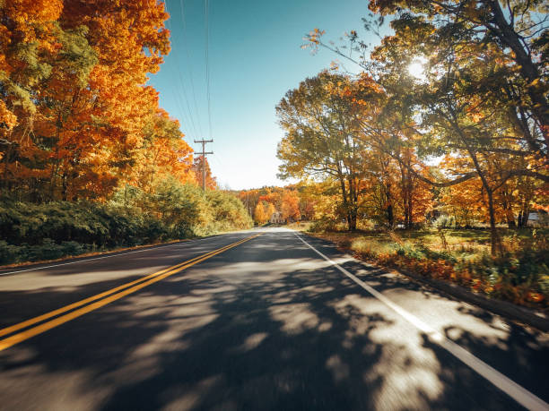 istock autumnal country road 1272682564