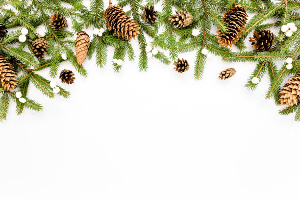 istock Christmas composition with fir branches, pine cones on white background. Flat lay, top view 1272682693
