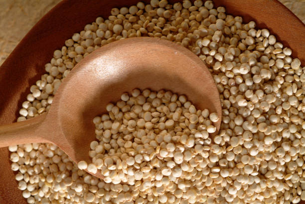 istock Healthy wholegrain 1272682867