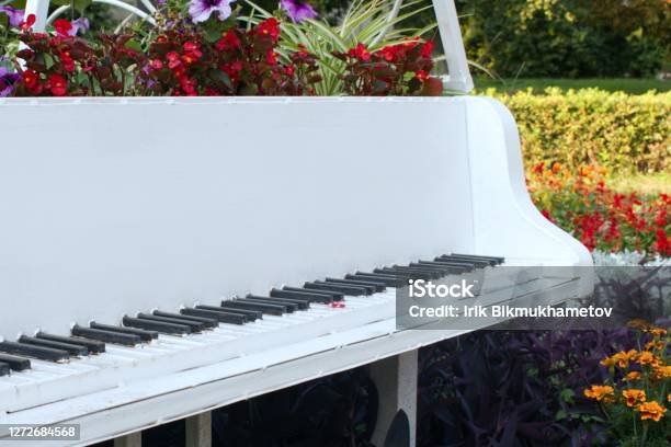 White Metal Grand Piano On Open Air Stock Photo - Download Image Now - Springtime, Music, Flower