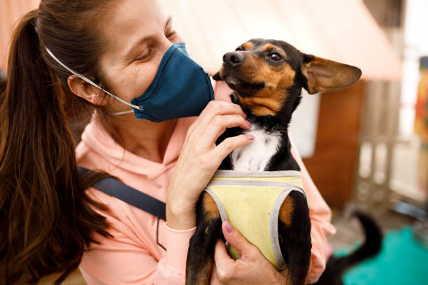 istock Woman spoiling dog at pet adoption event 1272687936