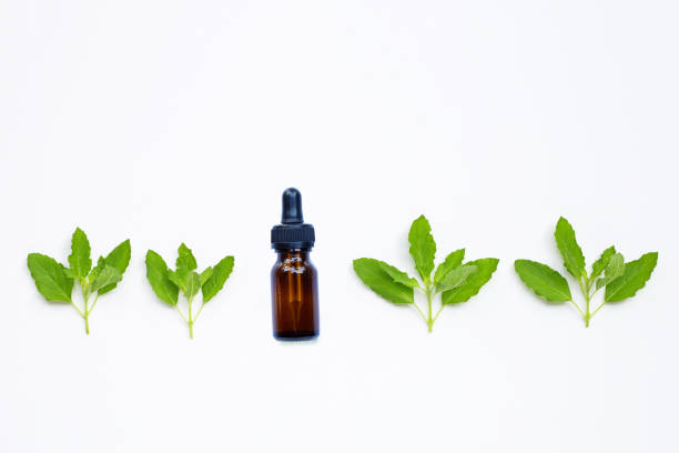 istock Fresh holy basil  leaves with essential oil bottle on white. 1272688821