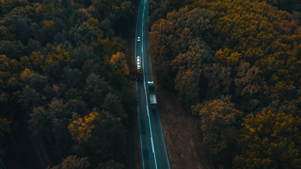 istock Road through the woods 1272688869