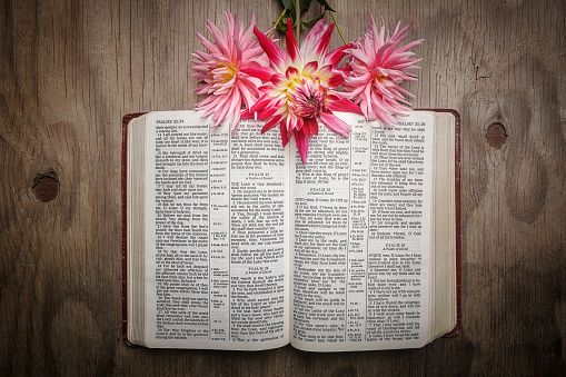 Bible open to Psalm 23 in KJV, King James version with dahlia flowers on wood background