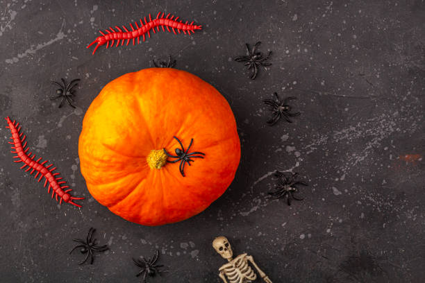 istock Halloween decoration:  pumpkin, skeleton, spiders, worms on a dark bacground. Collection of halloween party objects. Flat lay, top view, 1272697563