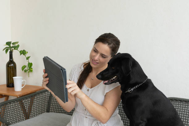 istock Woman asking dogs opinion 1272697773